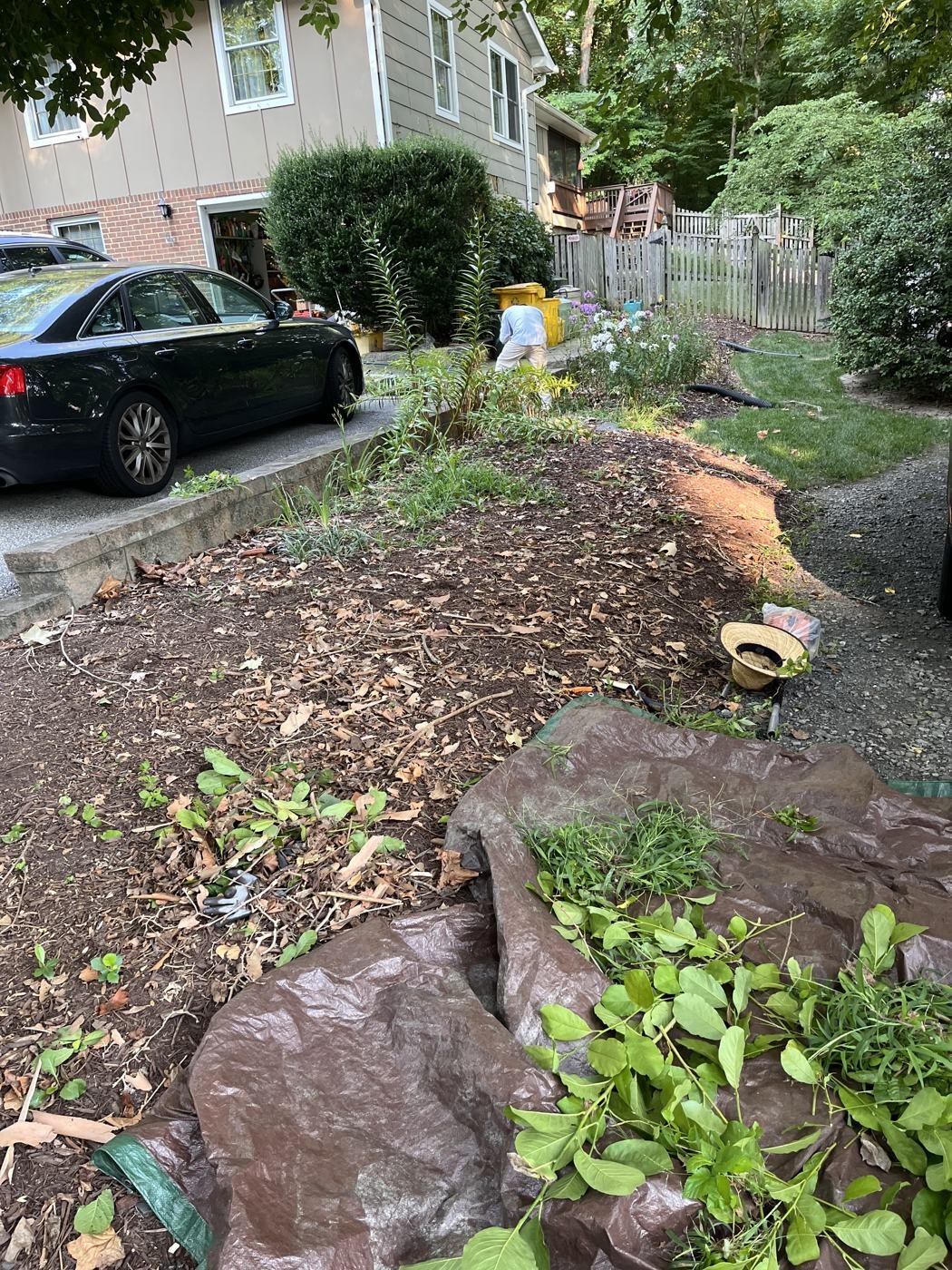Before — overgrown garden bed along the curb
