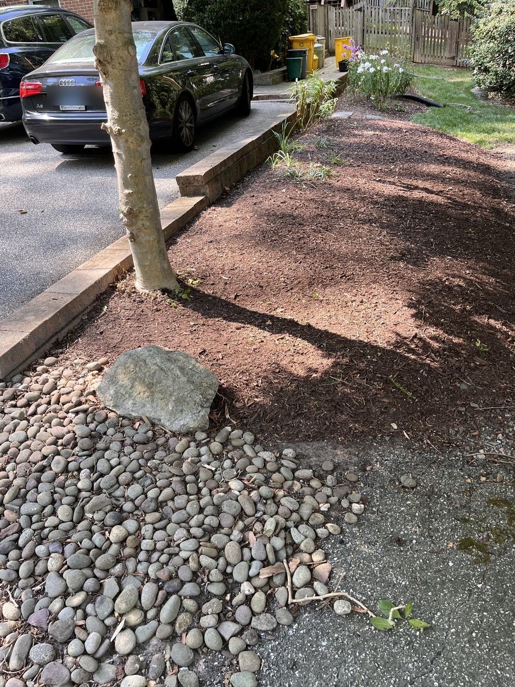 After — garden bed cleaned up with rock border