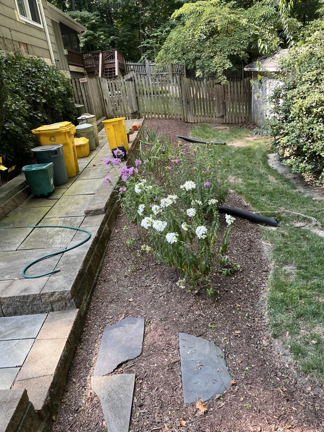 After — backyard garden bed cleaned and mulched