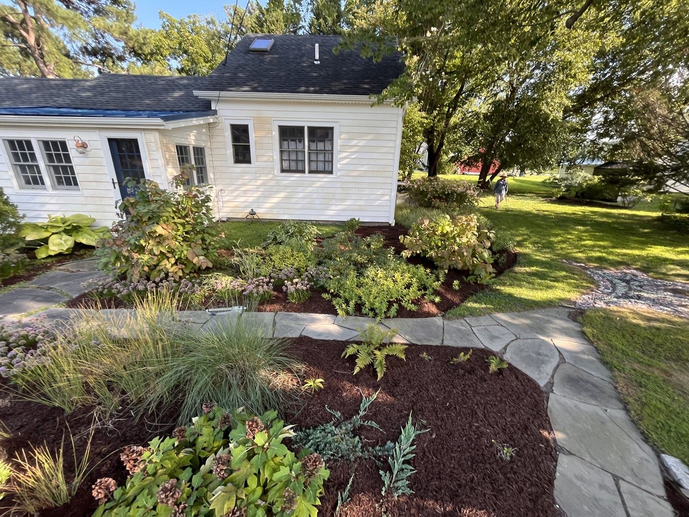 Garden bed along the side of the house after mulching