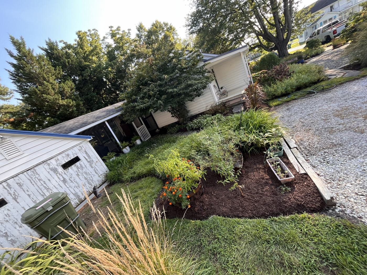 Garden bed weeded and mulched near a storage shed