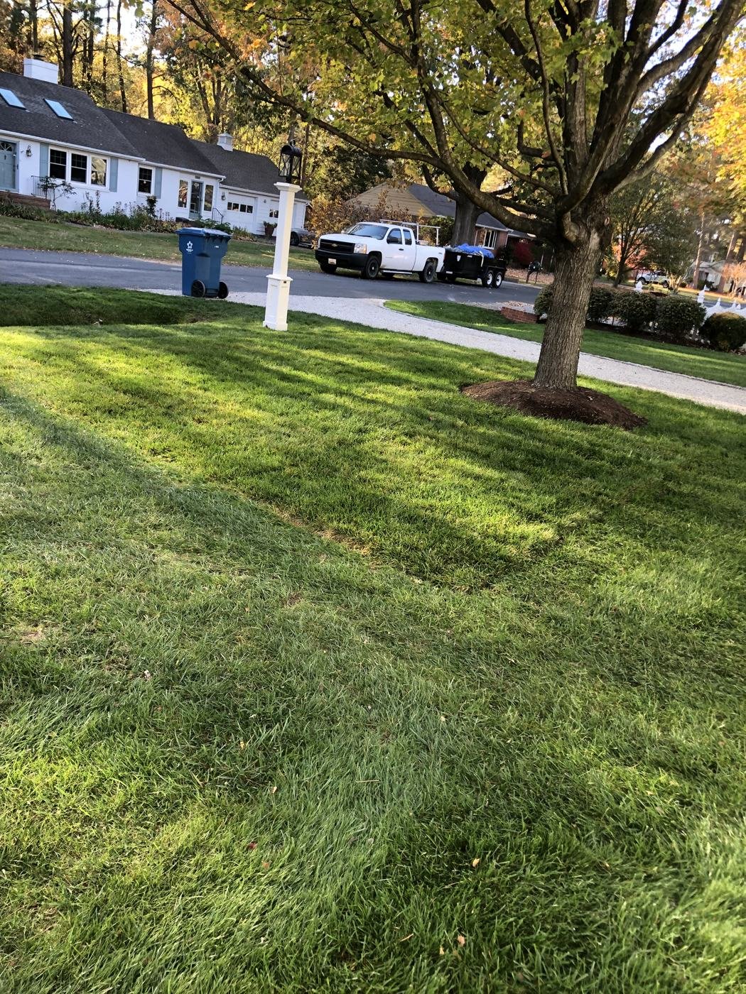 Dead patch of lawn replaced with new sod — Eastern Shore MD