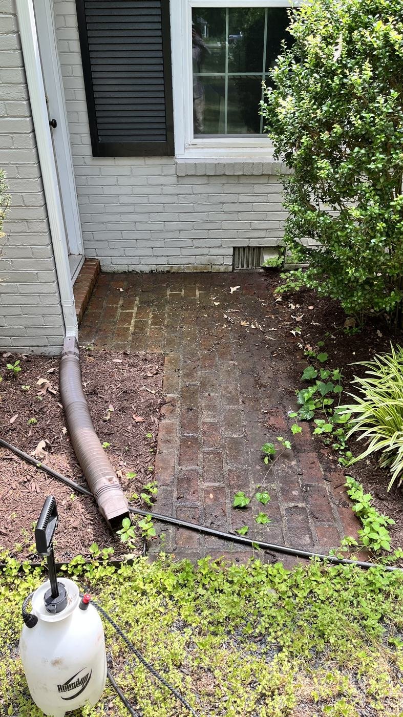Before — mossy, dirty brick walkway