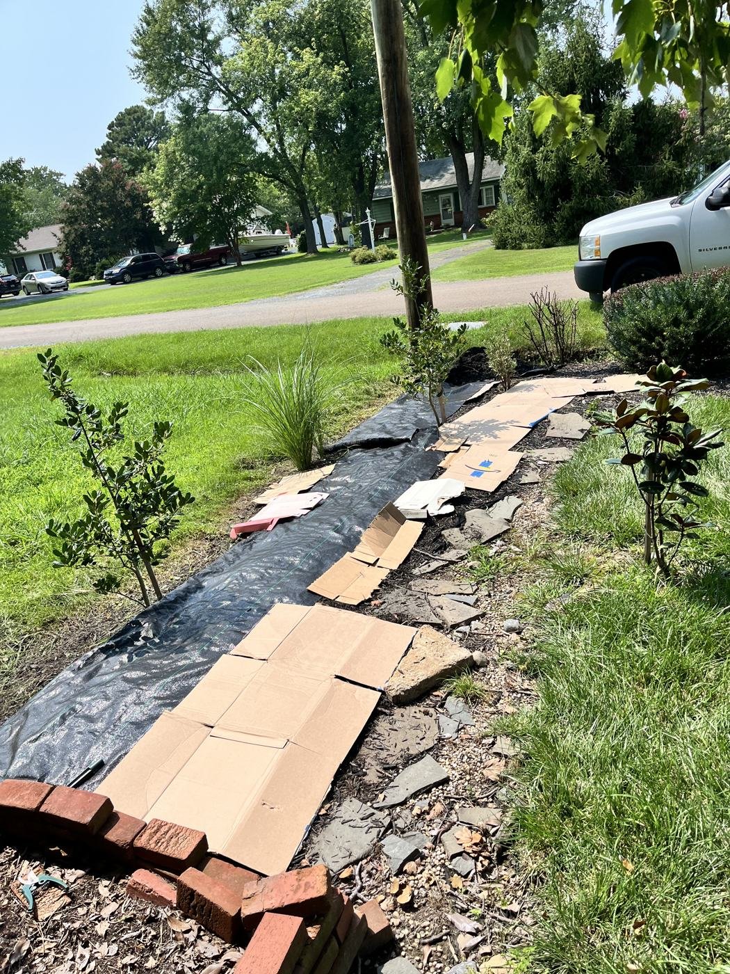 Before — garden bed with cardboard and tarp laid down for weed control