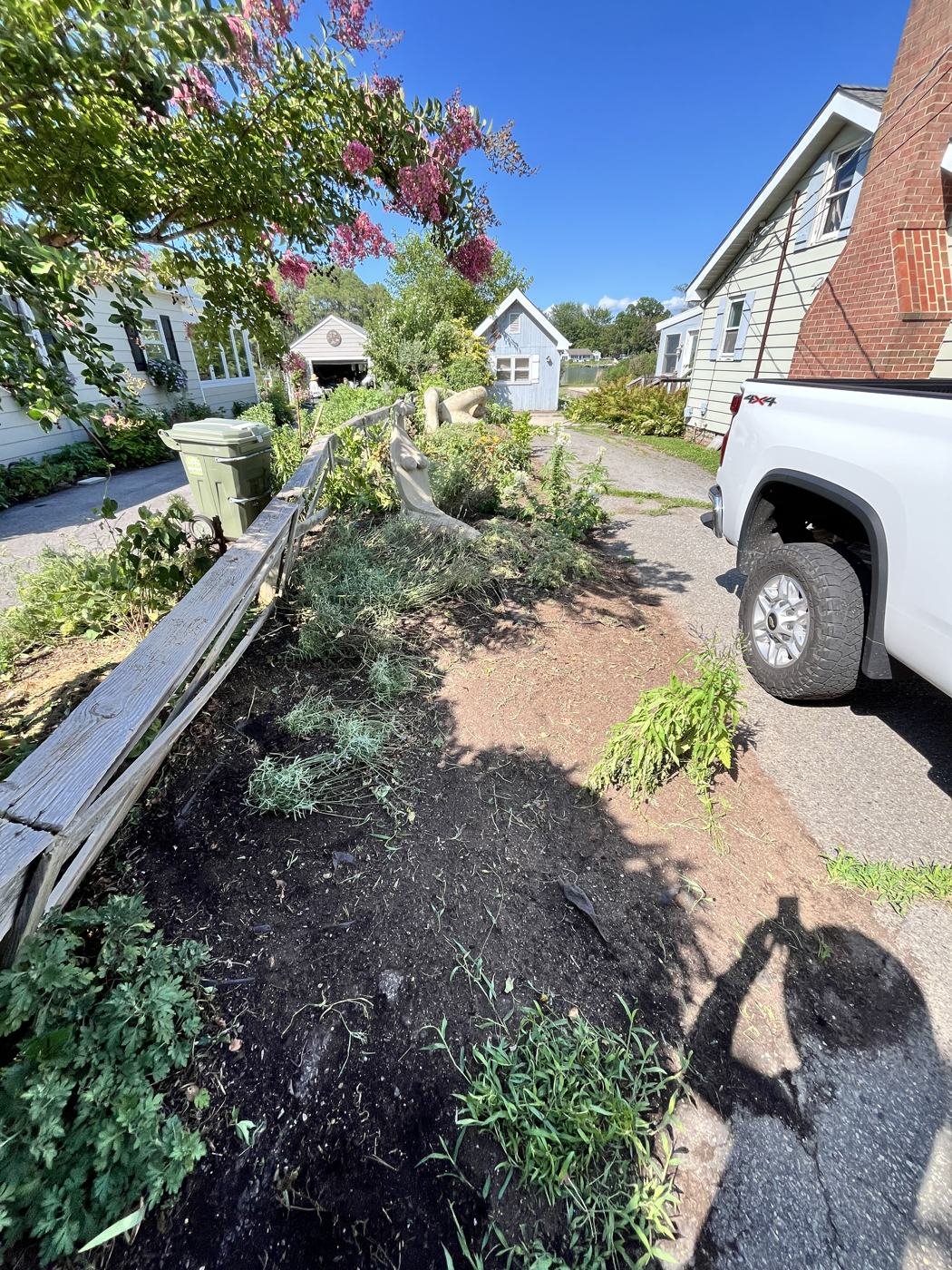 After — fence line cleared and mulched